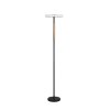 Trio lights Celeste floor lamp LED black, 1-light source