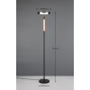 Trio lights Celeste floor lamp LED black, 1-light source