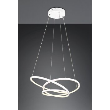 Trio lights Darvin pendant light LED white, 1-light source