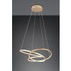 Trio lights Darvin pendant light LED gold, 1-light source