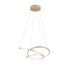 Trio lights Darvin pendant light LED gold, 1-light source