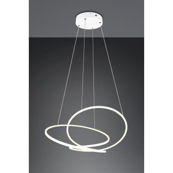 Trio lights Darvin pendant light LED white, 1-light source