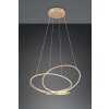 Trio lights Darvin pendant light LED gold, 1-light source