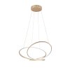 Trio lights Darvin pendant light LED gold, 1-light source