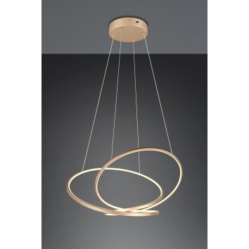 Trio lights Darvin pendant light LED gold, 1-light source