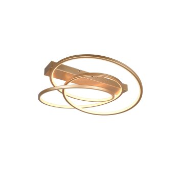 Trio lights Darvin ceiling light LED gold, 1-light source