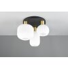 Trio lights Diva ceiling light brass, 3-light sources