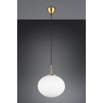 Trio lights Fomento pendant light brass, 1-light source