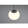 Trio lights Fomento pendant light black, 1-light source