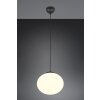 Trio lights Fomento pendant light black, 1-light source