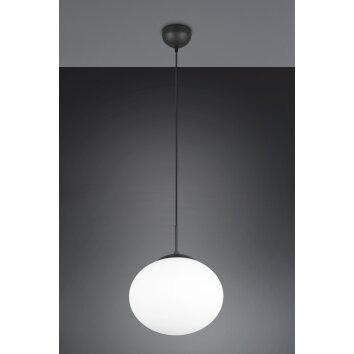 Trio lights Fomento pendant light black, 1-light source