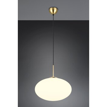 Trio lights Fomento pendant light brass, 1-light source