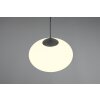 Trio lights Fomento pendant light black, 1-light source