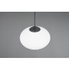 Trio lights Fomento pendant light black, 1-light source