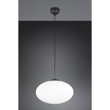 Trio lights Fomento pendant light black, 1-light source