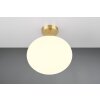 Trio lights Fomento ceiling light brass, 1-light source