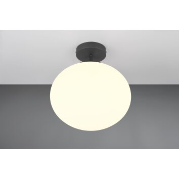 Trio lights Fomento ceiling light black, 1-light source