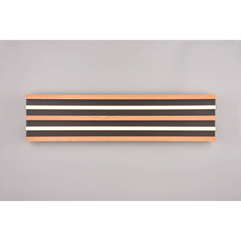 Trio lights Fontana ceiling light LED black, 1-light source