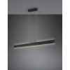 Trio lights Galway pendant light LED black, 1-light source