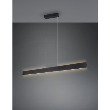 Trio lights Galway pendant light LED black, 1-light source