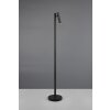 Reality lights Gomez floor lamp LED black, 1-light source