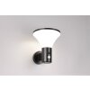 Reality lights Gorda wall light LED black, 1-light source, Motion sensor