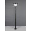 Reality lights Gorda outdoor floor lamp LED black, 1-light source, Motion sensor