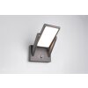 Trio lights Malawi wall light LED anthracite, 1-light source, Motion sensor