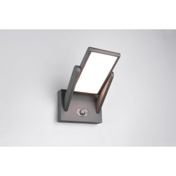 Trio lights Malawi wall light LED anthracite, 1-light source, Motion sensor