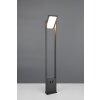 Trio lights Malawi outdoor floor lamp LED anthracite, 1-light source, Motion sensor