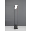 Trio lights Malawi outdoor floor lamp LED anthracite, 1-light source, Motion sensor