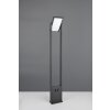 Trio lights Malawi outdoor floor lamp LED anthracite, 1-light source, Motion sensor