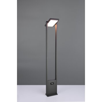 Trio lights Malawi outdoor floor lamp LED anthracite, 1-light source, Motion sensor