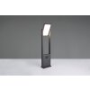 Trio lights Malawi outdoor floor lamp LED anthracite, 1-light source, Motion sensor