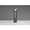 Trio lights Malawi outdoor floor lamp LED anthracite, 1-light source, Motion sensor