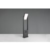 Trio lights Malawi outdoor floor lamp LED anthracite, 1-light source, Motion sensor