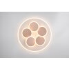 Trio lights Mandala ceiling light LED grey, 1-light source, Remote control