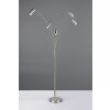 Trio lights Marley floor lamp matt nickel, 5-light sources