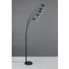 Trio lights Marley floor lamp black, 5-light sources