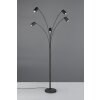 Trio lights Marley floor lamp black, 5-light sources