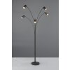 Trio lights Marley floor lamp black, 5-light sources