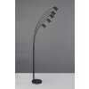 Trio lights Marley floor lamp black, 5-light sources