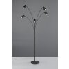 Trio lights Marley floor lamp black, 5-light sources