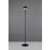 Reality lights Mendorez floor lamp LED black, 1-light source