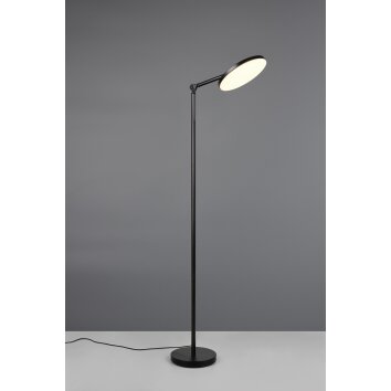 Reality lights Mondello floor lamp LED black, 1-light source