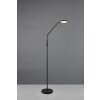 Reality lights Moreno floor lamp LED black, 1-light source