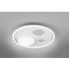 Trio lights Pebble ceiling light LED white, 1-light source, Remote control