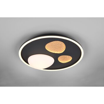 Trio lights Pebble ceiling light LED black, 1-light source, Remote control