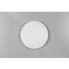 Reality lights Pollux ceiling light LED white, 1-light source, Motion sensor