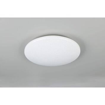 Reality lights Pollux ceiling light LED white, 1-light source, Motion sensor